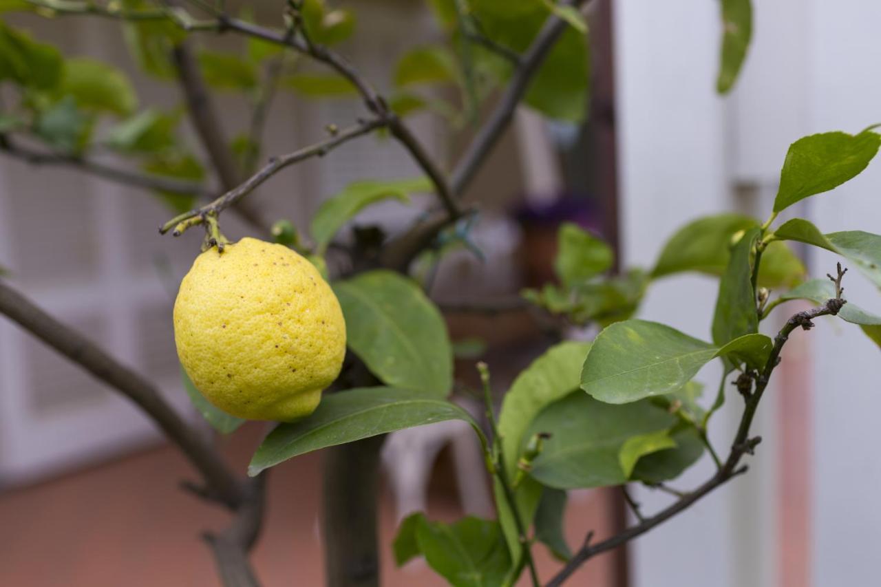 B&B Cava Rossa Monsummano Terme Экстерьер фото