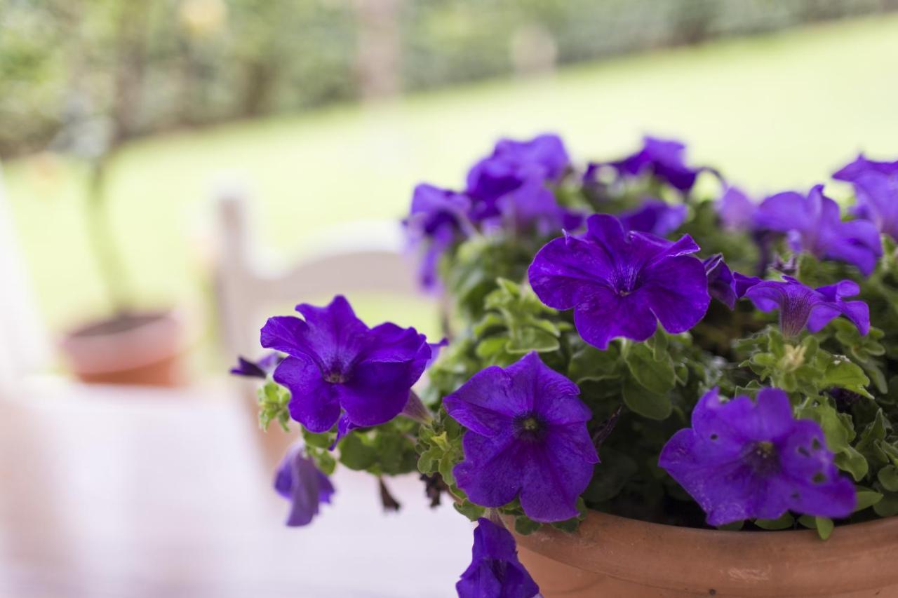 B&B Cava Rossa Monsummano Terme Экстерьер фото